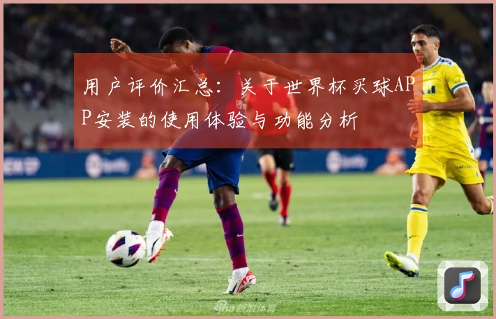 用户评价汇总：关于世界杯买球APP安装的使用体验与功能分析