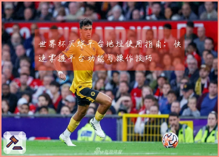 世界杯买球平台地址使用指南：快速掌握平台功能与操作技巧