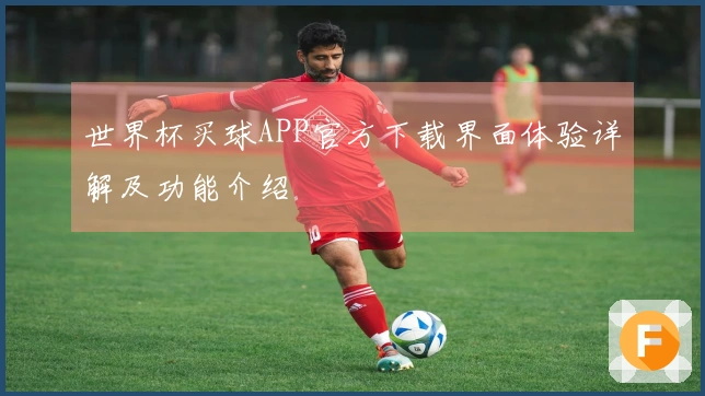 世界杯买球APP官方下载界面体验详解及功能介绍