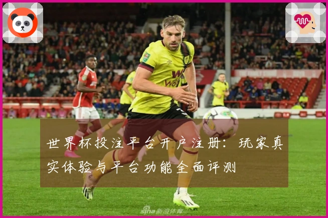世界杯投注平台开户注册：玩家真实体验与平台功能全面评测