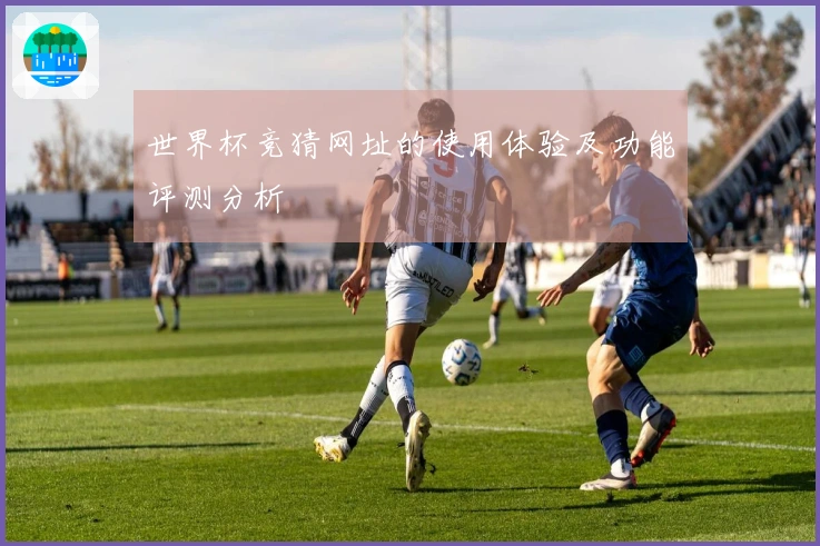 世界杯竞猜网址的使用体验及功能评测分析