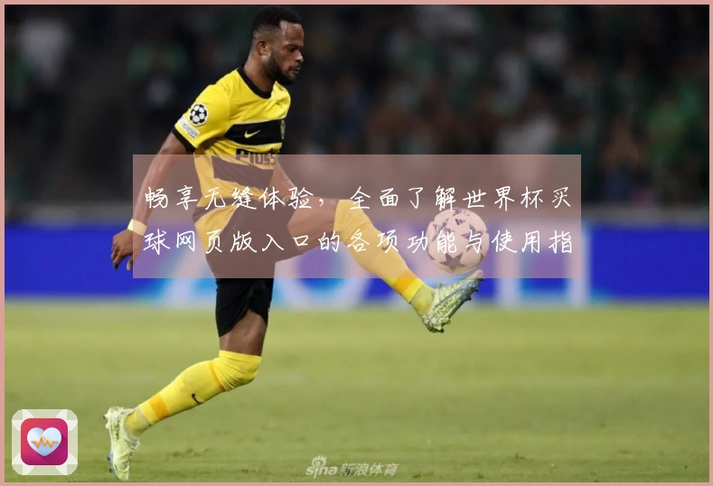 畅享无缝体验，全面了解世界杯买球网页版入口的各项功能与使用指南