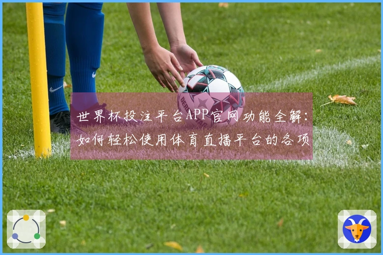 世界杯投注平台APP官网功能全解：如何轻松使用体育直播平台的各项服务