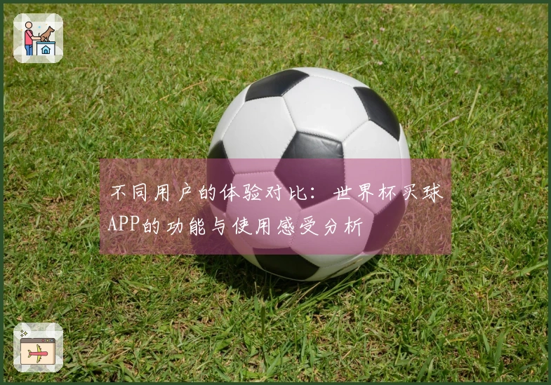 不同用户的体验对比：世界杯买球APP的功能与使用感受分析