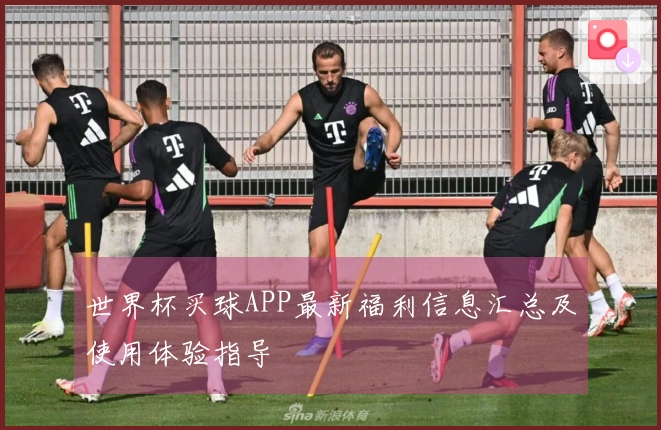 世界杯买球APP最新福利信息汇总及使用体验指导